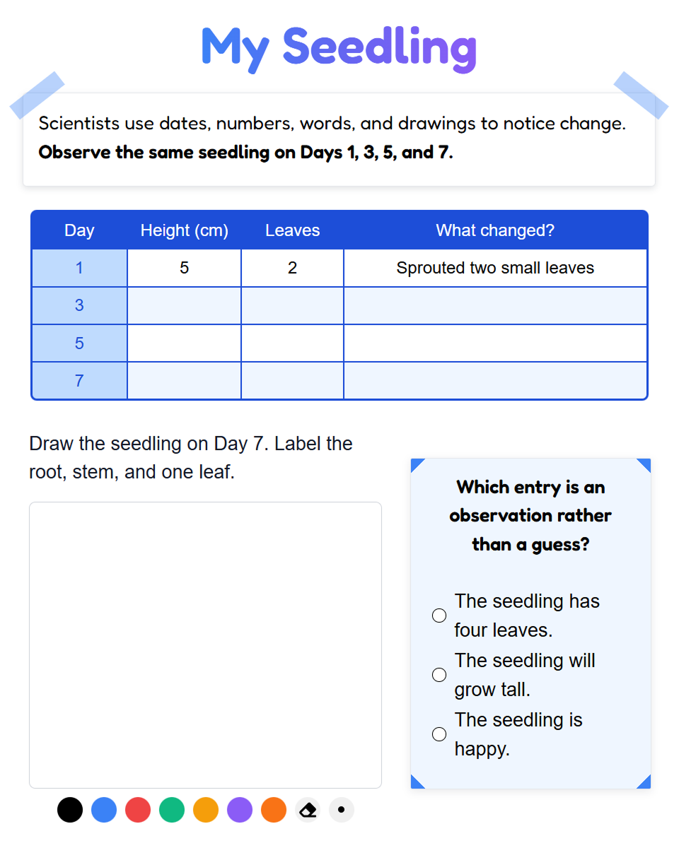 An elementary seedling observation page with a growth table, drawing workspace, and observation check